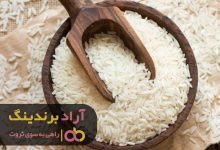, هر روز از خودتان بپرسید چرا بیل گیتس نیستید