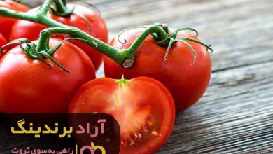 , با دست خالی چگونه پولدار شویم؟