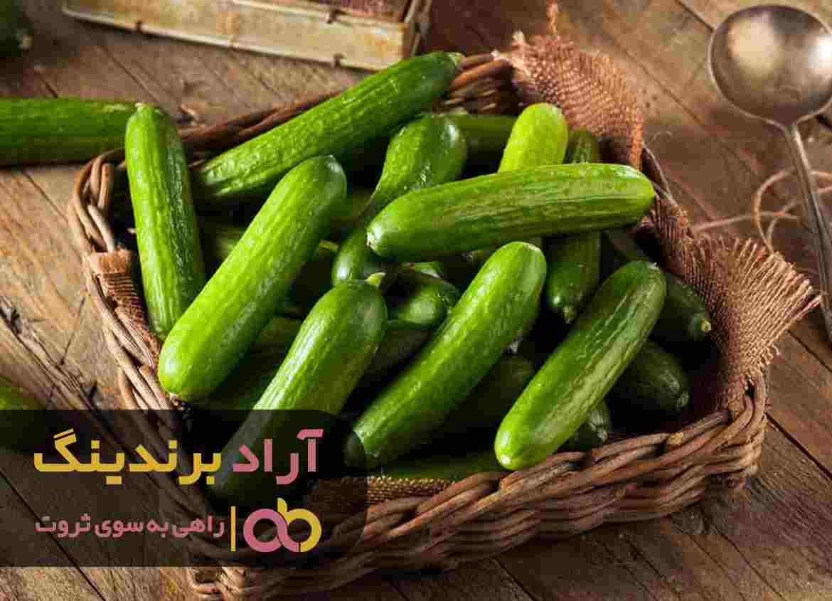 قیمت خیار خاردار گلخانه ای ورامین
