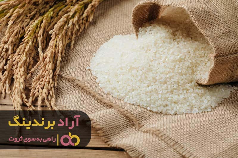 , خرید برنج هاشمی شیرودی گلستان