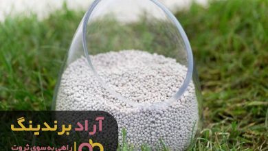 , چگونه با تمرکز به آینده به ثروت زیاد رسیدم