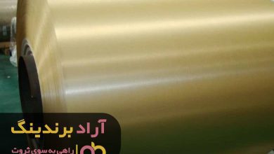 , چگونه با لذت بردن از مشکلات به سرمایه برسیم