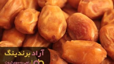, روزهای شیرینی را با خرما تجربه کردم