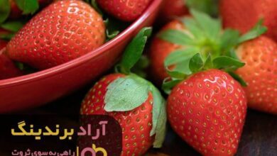 , رمز ثروتمند شدنم در یک توت نهفته بود!