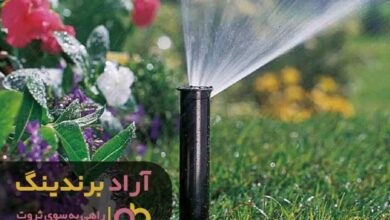 , بهترین روش برای چند برابر کردن پول