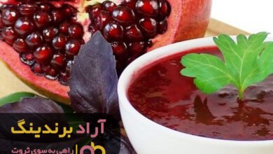 , مسیری که باعث موفقیت من شد