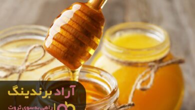 , در جوانی من با راه اندازی کسب و کار عسل ثروتمند شدم