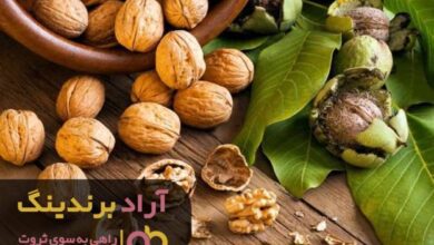 , گردو را شکاندم و ثروتمند شدم
