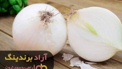 , با پیاز اشک فقر را در آوردم و به ثروت رسیدم