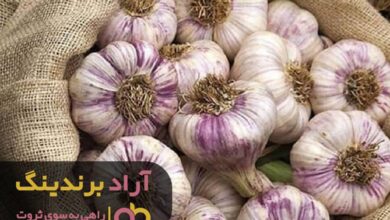 , پول همان نقشه گنج من در زندگی بود