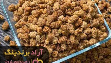 , شغل خود را مطابق با نیاز جامعه تغییر دادم و ثروتمند شدم