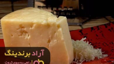 , پیشرفت خود را مدیون پول هستم