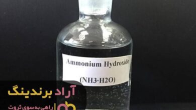 , ثروتمند شدنم باعث نیکوکار شدن من بود