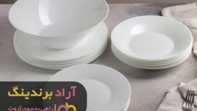 , درجمع بزرگان بودم و ثروتمند شدم