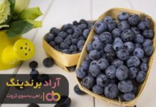 , محصولی به کوچکی بلوبری ثروت بزرگی را به من هدیه داد