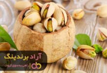 , با پسته درآمد دلاری را تجربه کردم