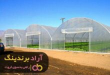 , ثروتم تمام خستگی هایم را از بین برد