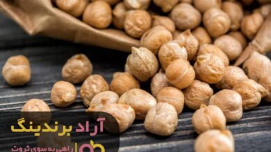 , با نخود مسیر میلیاردر شدن را پیمودم
