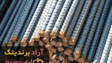 , توجه به روابط شخصی و کاریم مرا میلیاردر کرد