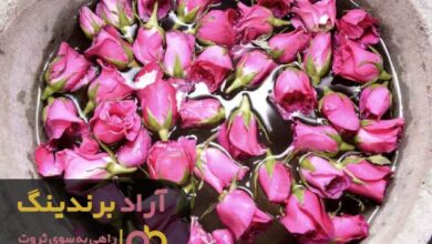 , گلاب همان محصول ایده الی بود که مرا ثروتمند کرد